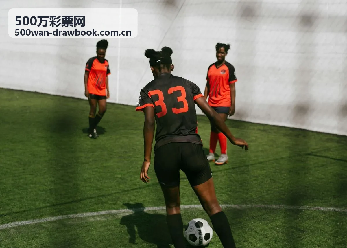 500万彩票网走势图表解读服务